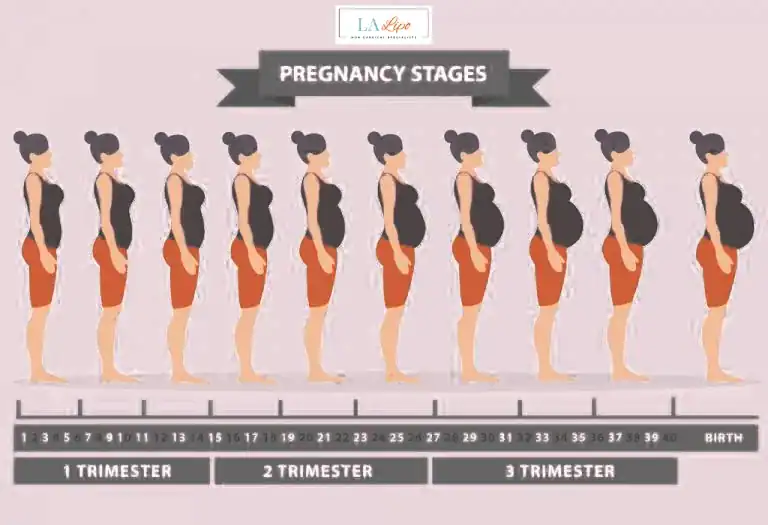 First Trimester (Weeks 1–12): Early Changes You Might Not Notice Stourbridge